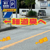 画像2544